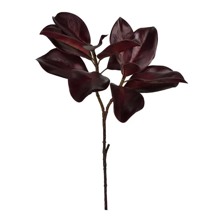 MF Preserved Boxwood Products