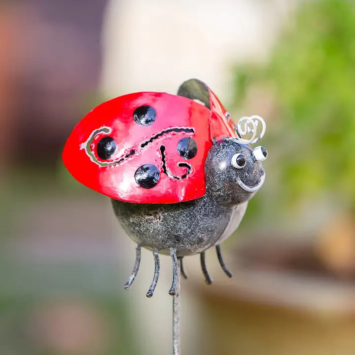 Garden Decor