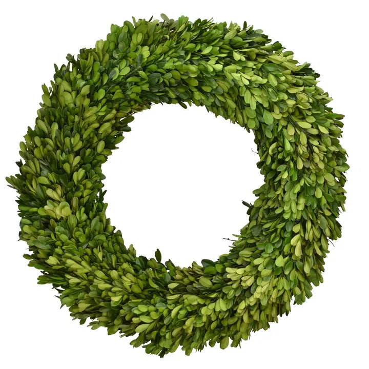 MF Preserved Boxwood Products