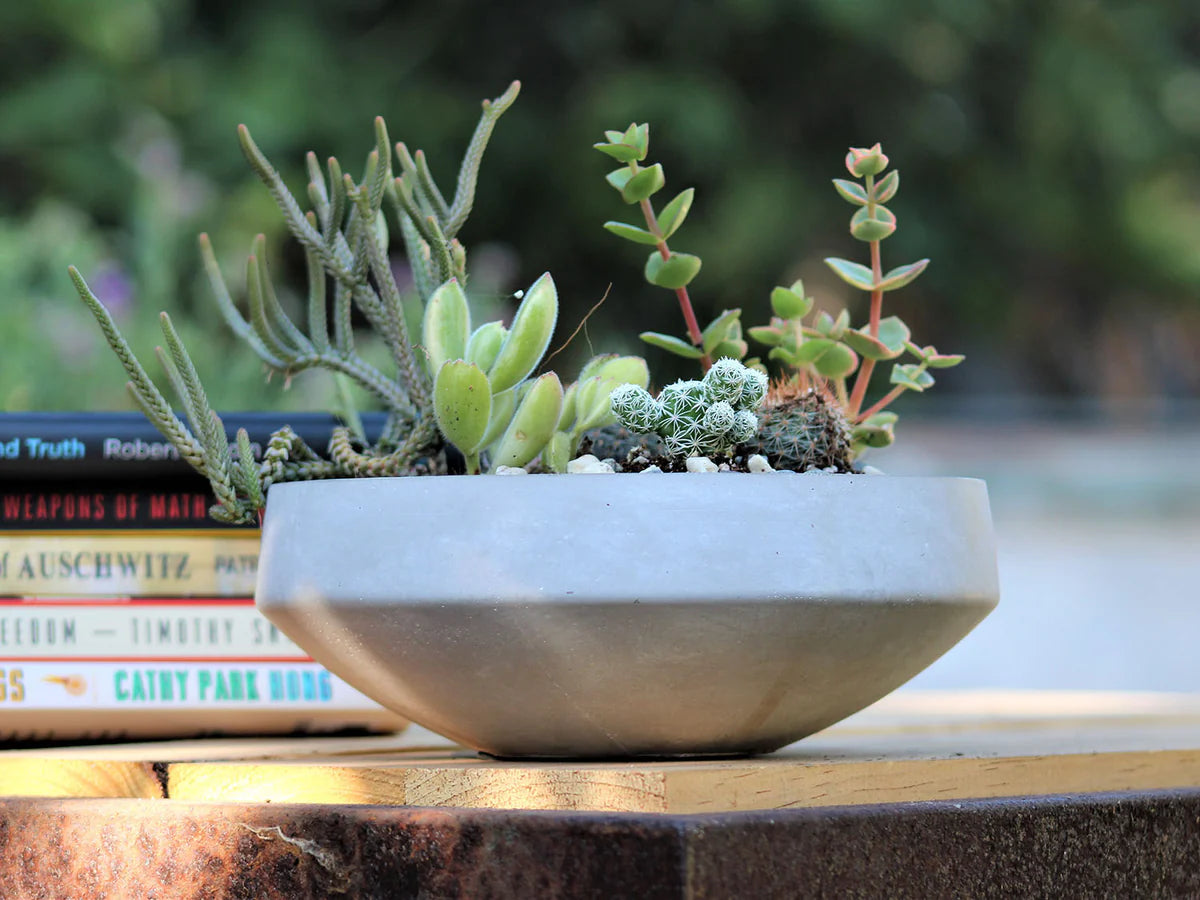 Avenue Pots(PHG)