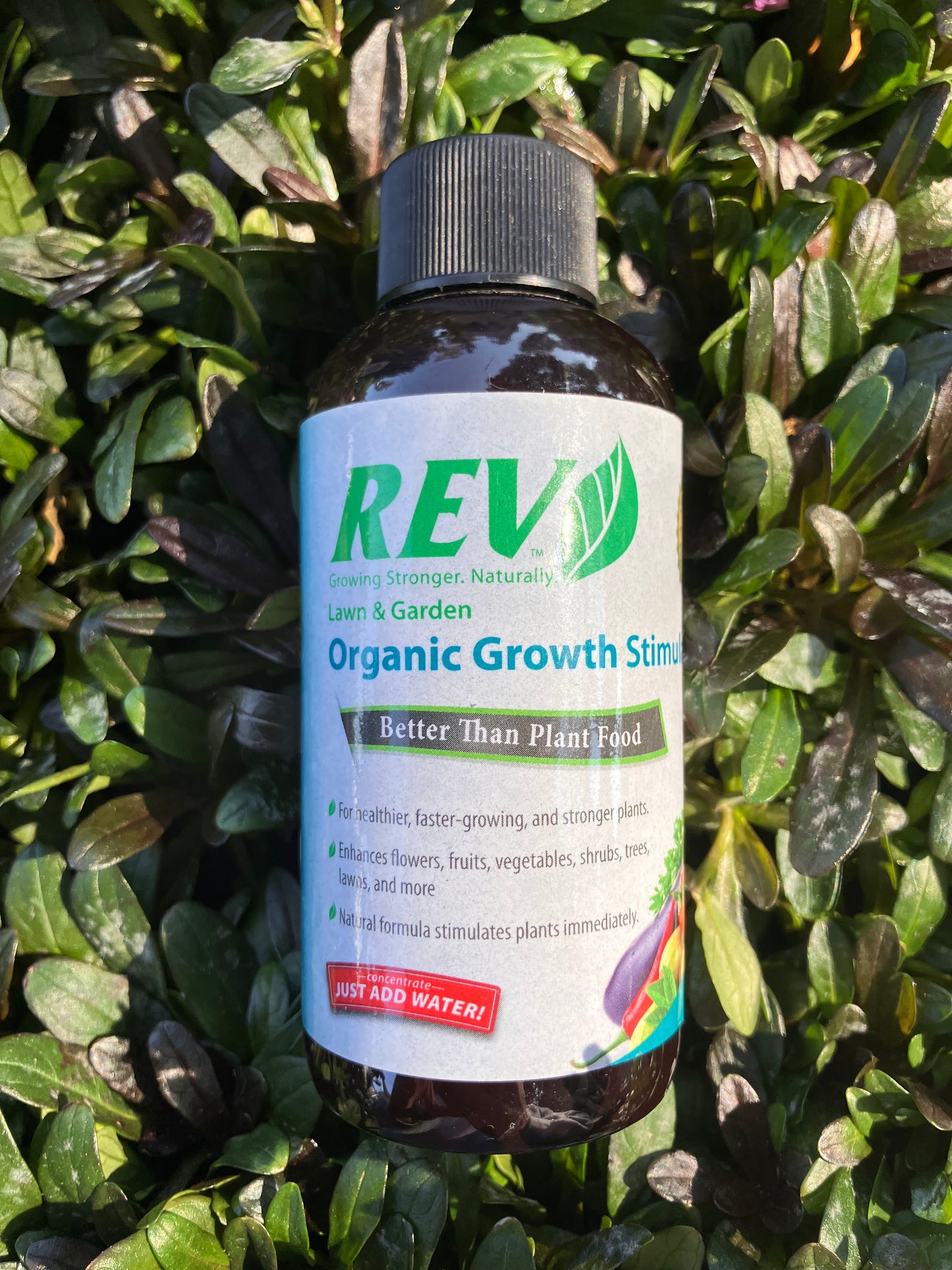 REV Products