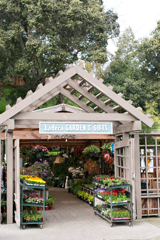 Ladera_Garden_and_Gifts_Storefront 2