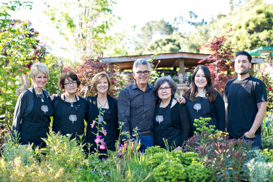 adera_Gardens_Team 3