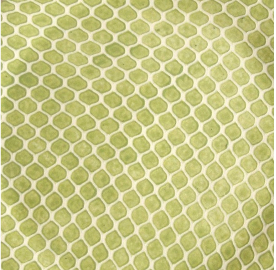 Terrafirma Ceramics