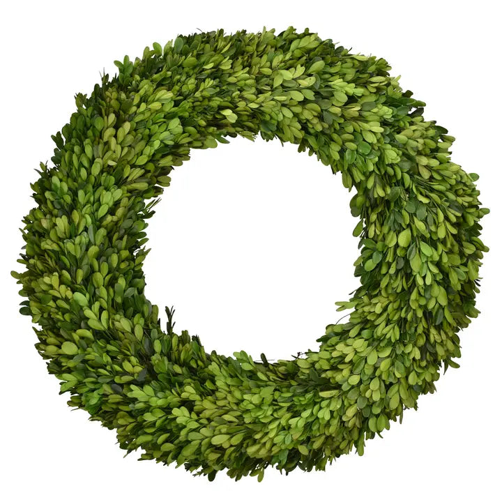 MF Preserved Boxwood Products